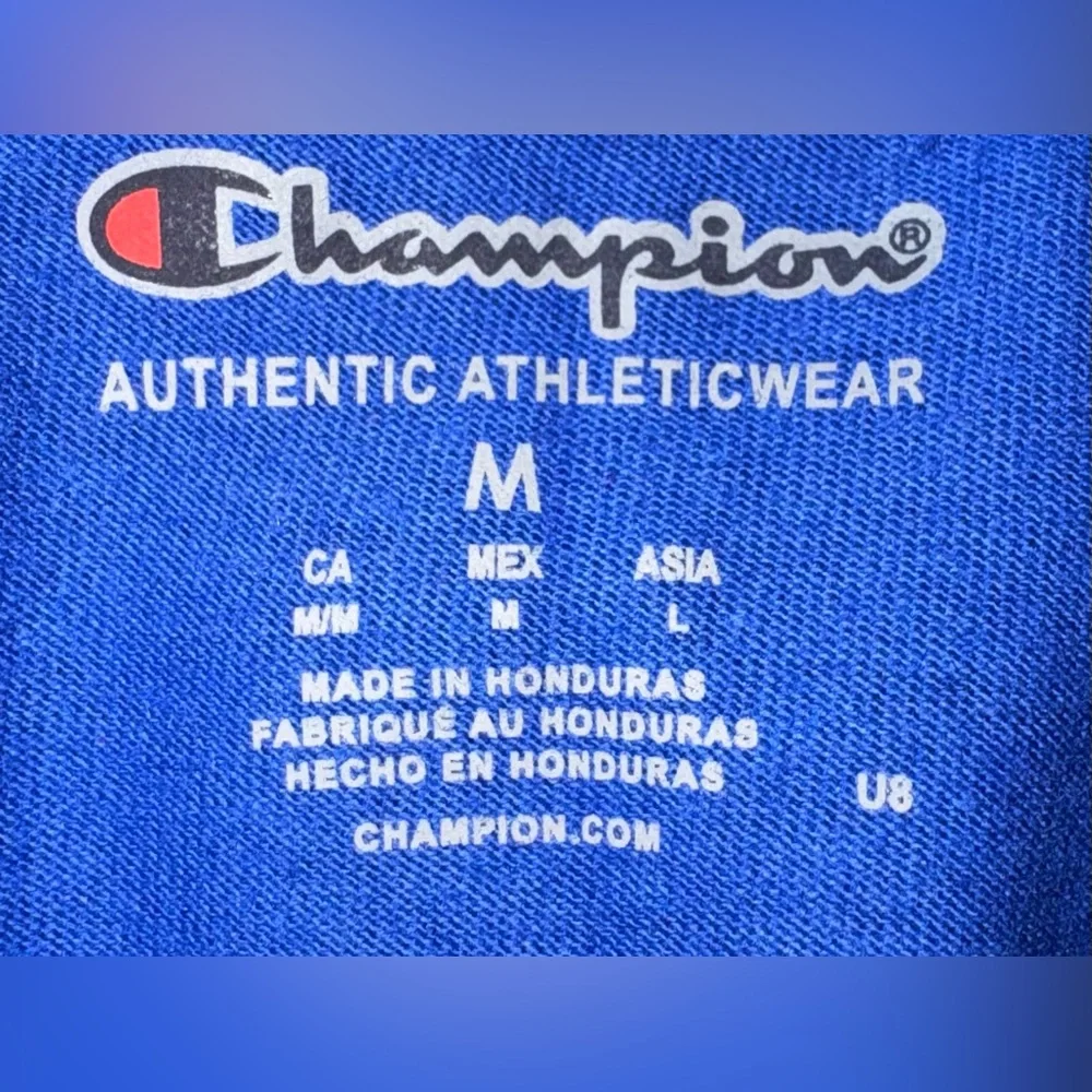 Champion Men's Blue and Gray Ringer Tee Size Medium - Picture 2 of 4